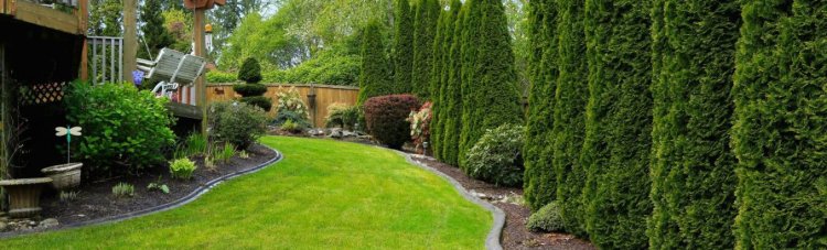 Vancouver Landscaping Crafting Stunning Gardens & Lawns