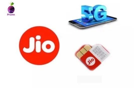 Buy Jio Prepaid sim online with Prune