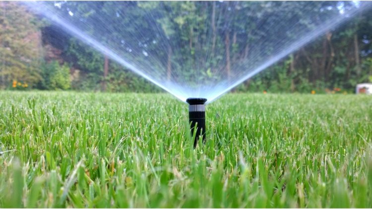 Why Choose Rototillerguy for Sprinkler Installation Near Me?