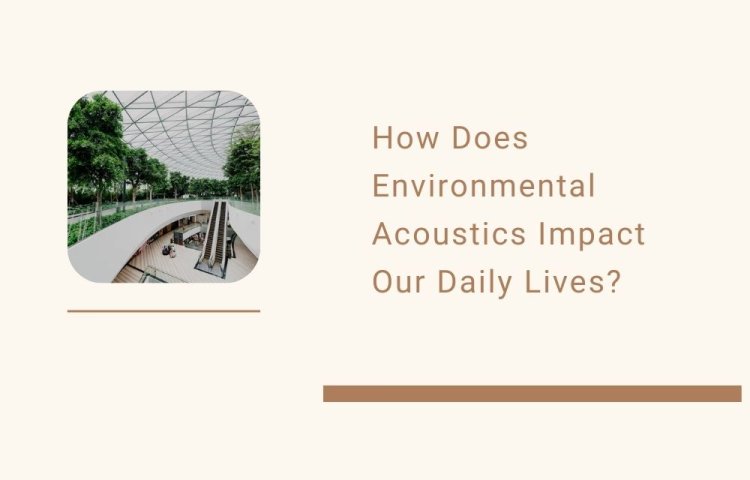 How Does Environmental Acoustics Impact Our Daily Lives?