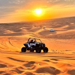 uaedesertsafari